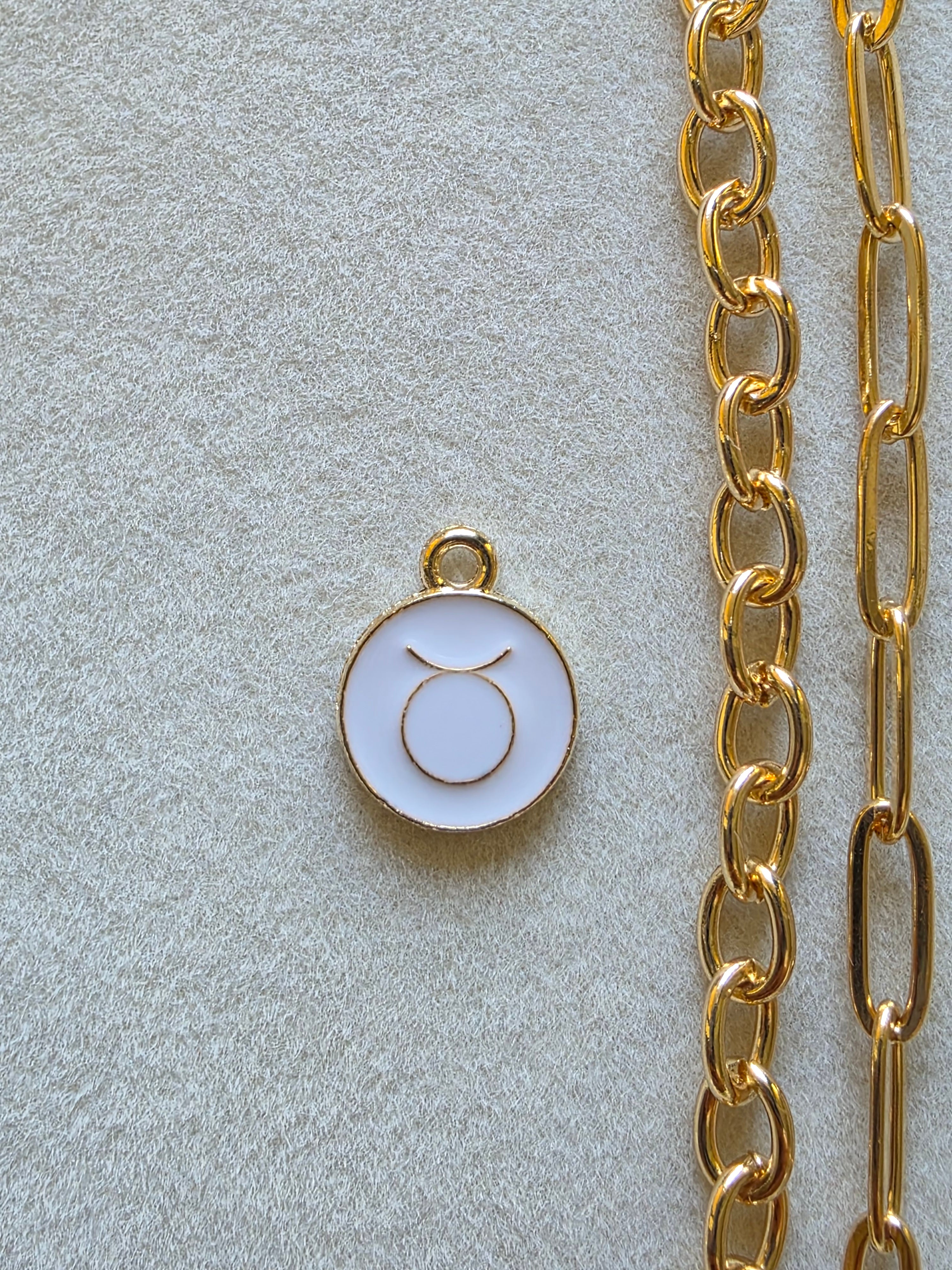 Zodiac Charms