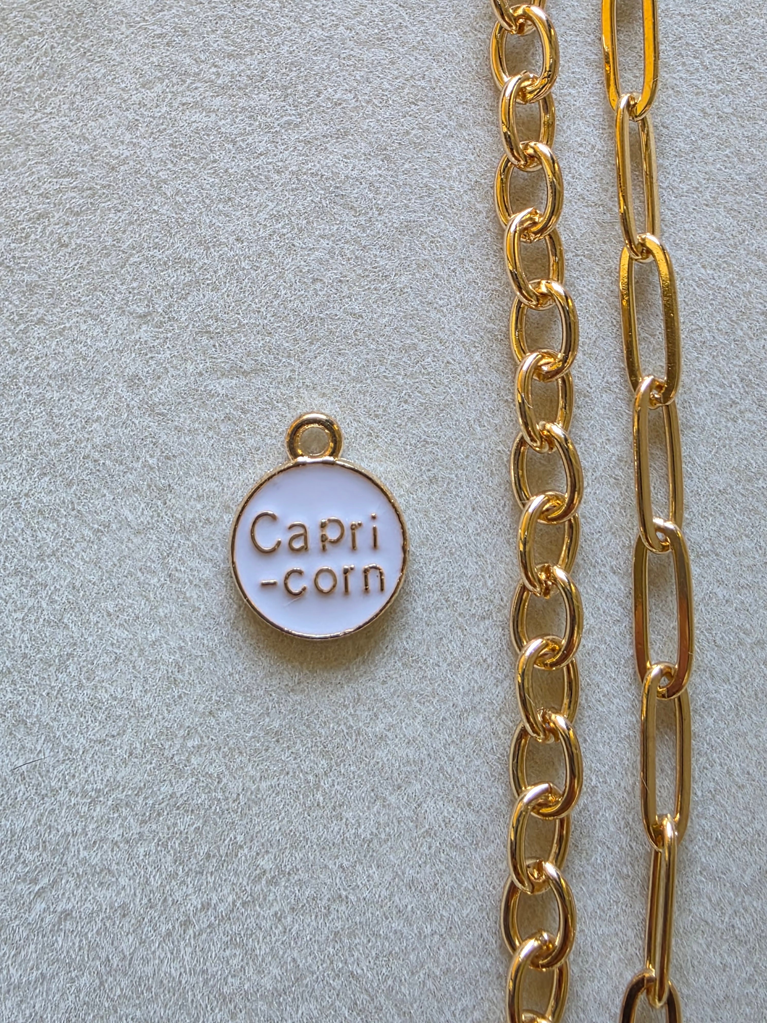 Zodiac Charms